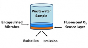 Luna’s biochemical oxygen demand biosensor measures oxygen depletion proportional to the organic content and metabolic activity of stabilized bio-encapsulated microbes.